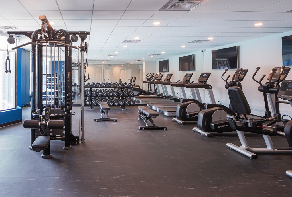 a row of exercise equipment in a gym