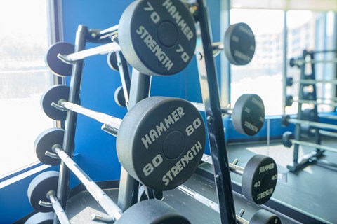 a rack of weights in a gym