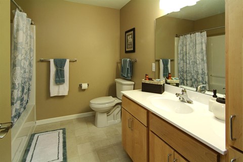 a bathroom with a sink and a toilet
