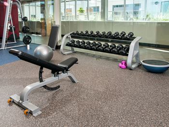 Free Weights at Custom House, St. Paul, 55101