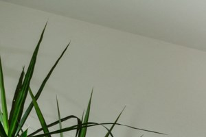Rent Luxury Apartments In Corona Ca Verified Listings Rentcafé 111 West Harrison St 1 2 Beds Apartment For Rent Photo Gallery