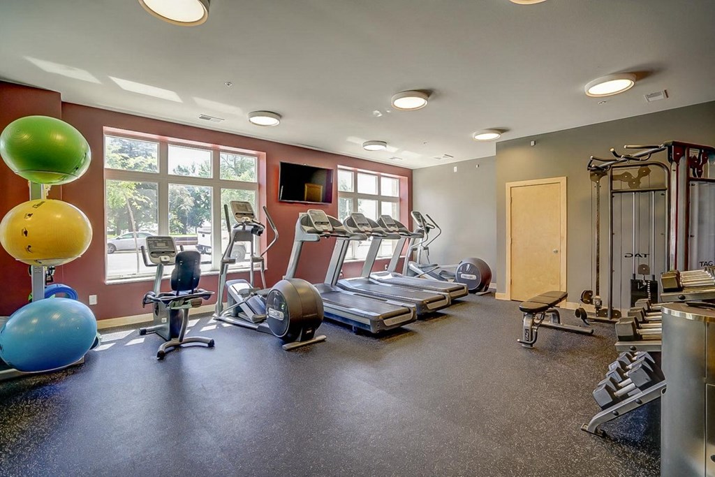 a gym with treadmills and weights on the floor and a window