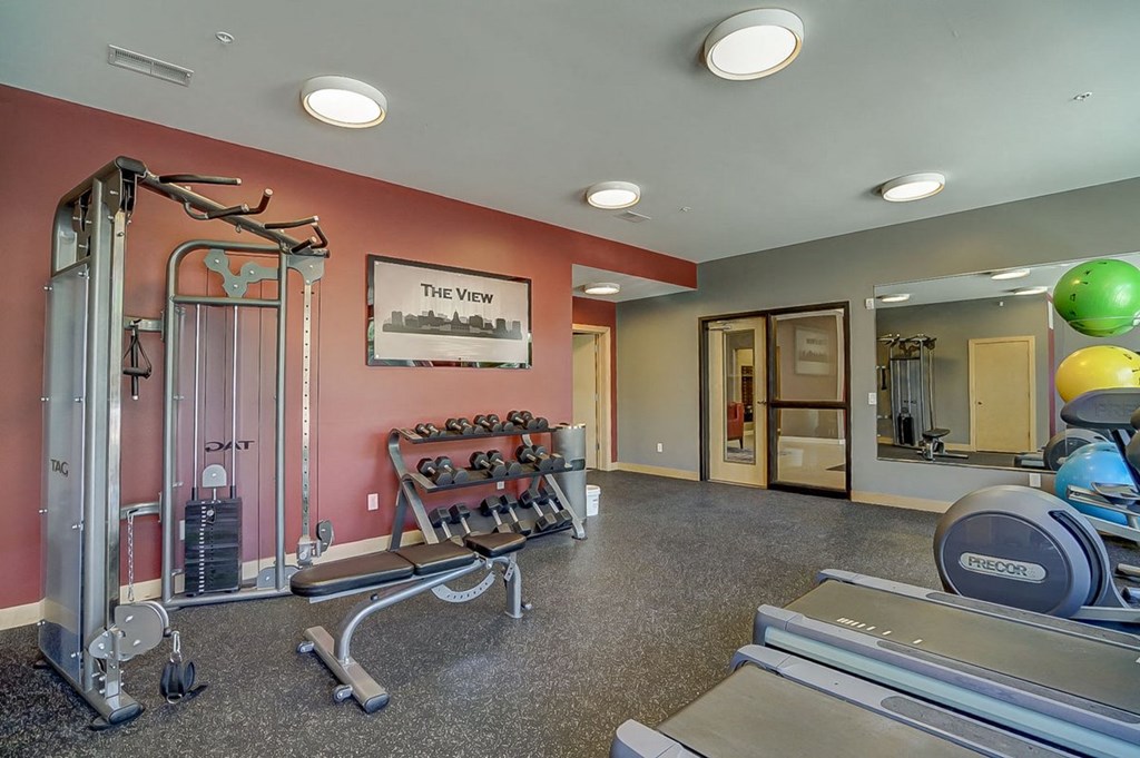 a gym with a bunch of weights and a mirror