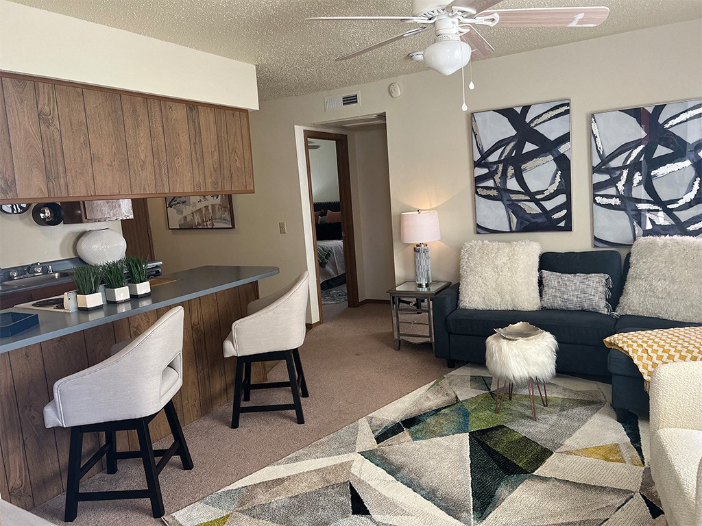 a living room and kitchen with a couch and a counter