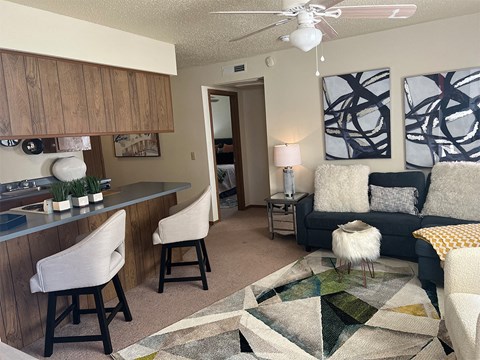 a living room and kitchen with a couch and a counter