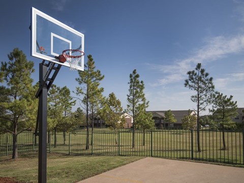 a basketball hoop in a park with a house in the background