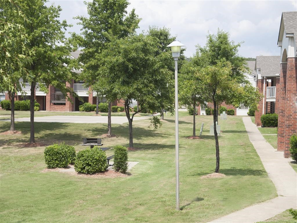 a park with trees and a street light