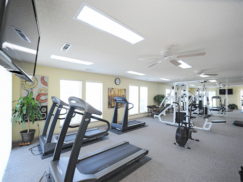 the gym has plenty of treadmills and other exercise equipment