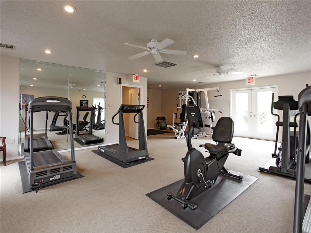 the gym has plenty of equipment for everyone to use