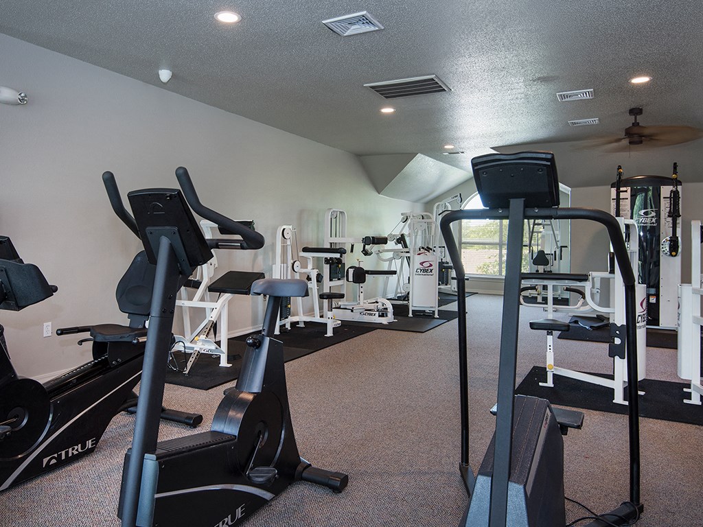 a gym with cardio equipment and weights in a 2400 sq ft home gym