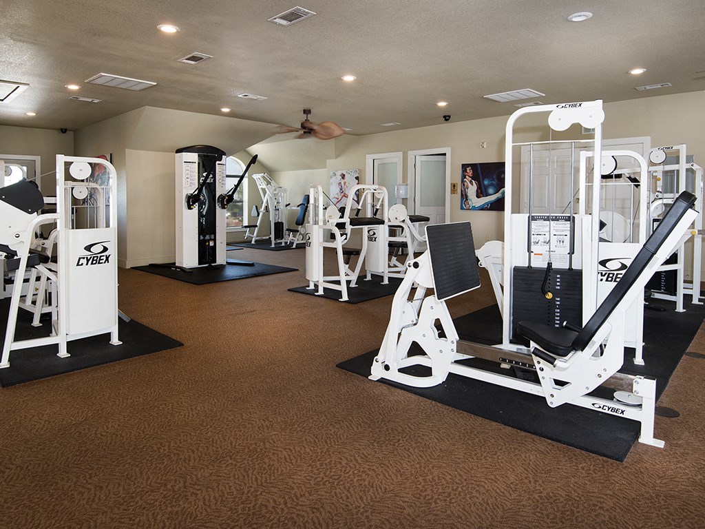 a gym with cardio equipment and weights on the floor