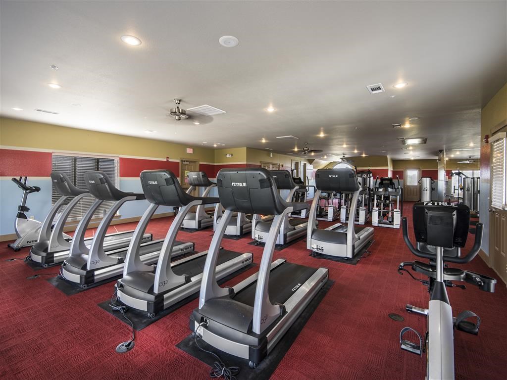 a gym with rows of treadmills and other exercise equipment