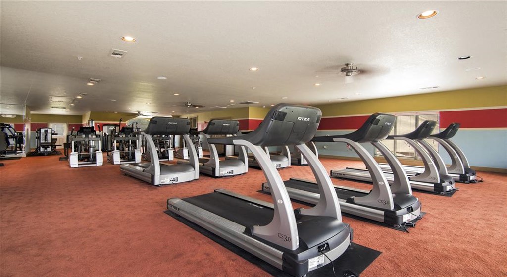 a gym with a lot of exercise equipment in it