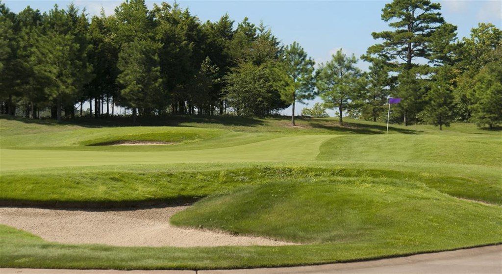 a view of a golf course with trees in the background