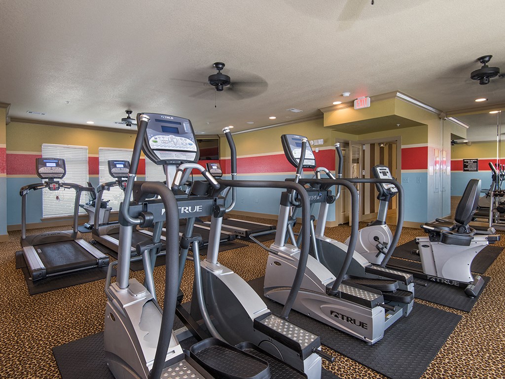 a gym with cardio equipment and exercise machines