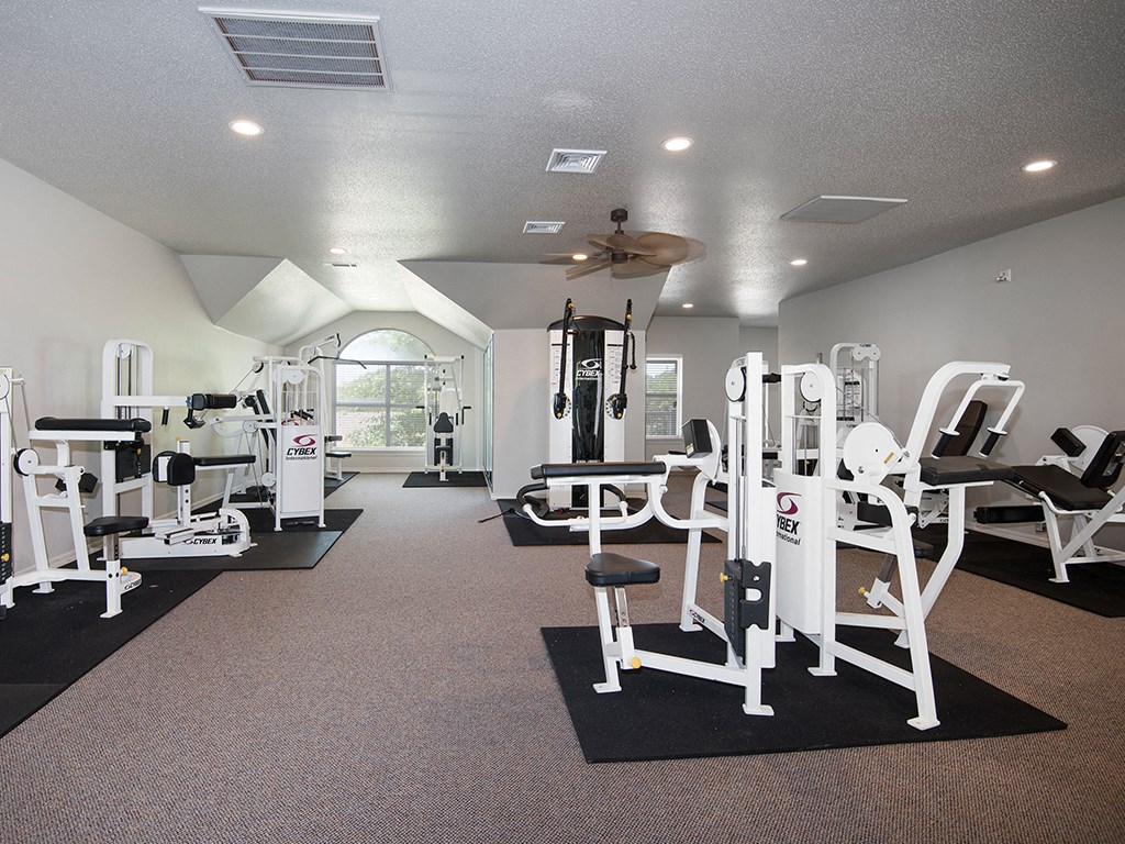 a gym with weights and cardio equipment in a home gym