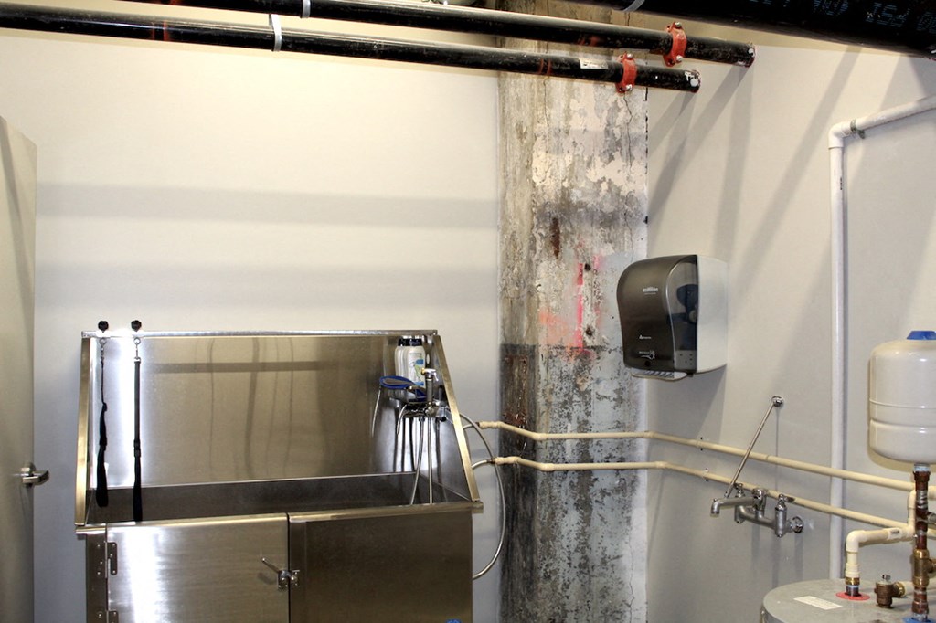 Pet spa and pet grooming area at Thomas Jefferson Tower, Birmingham, AL, 35203