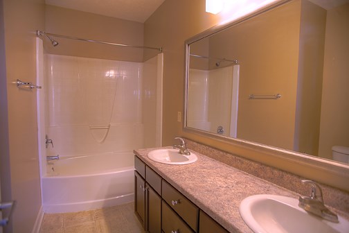 a bathroom with two sinks and a shower and a mirror