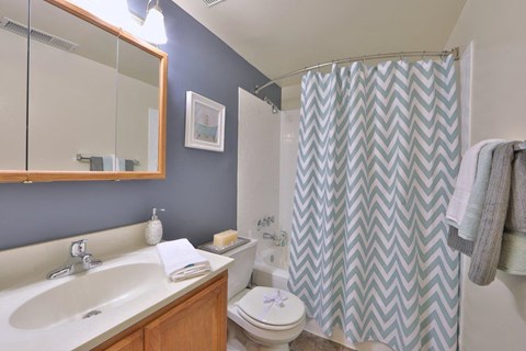 a bathroom with a shower curtain and a sink and a toilet