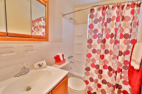 a bathroom with a shower curtain and a sink and a toilet