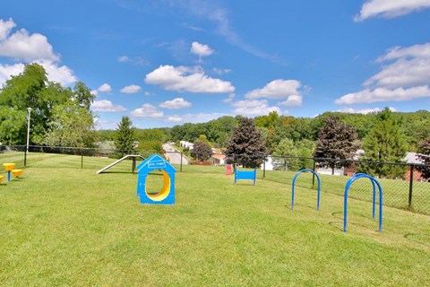 a playground with swings and slides on the grass
