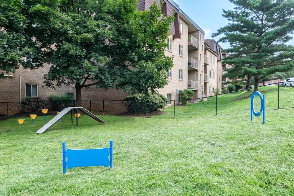 our apartments have a playground in the yard