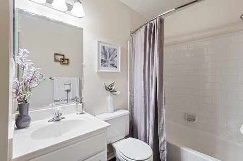 A white bathroom with a toilet, sink, and shower.