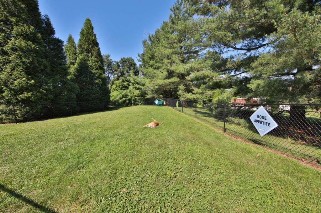 a dog laying on the grass in a dog park