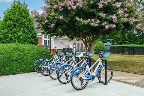 a row of blue bikes parked on a sidewalk
