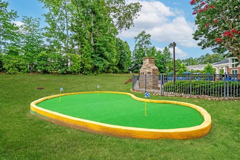 a turf golf course in the backyard of a home
