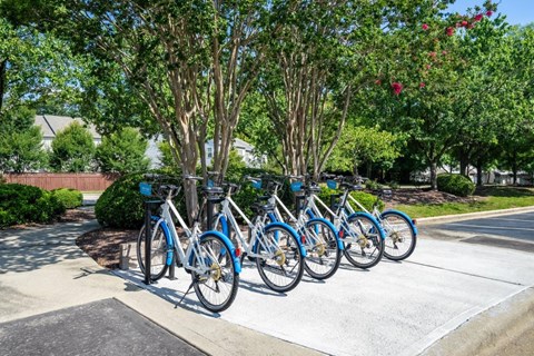 A row of blue bicycles are parked in a row.