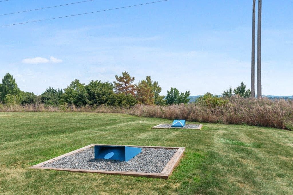 twoorms in a grassy field with trees in the background