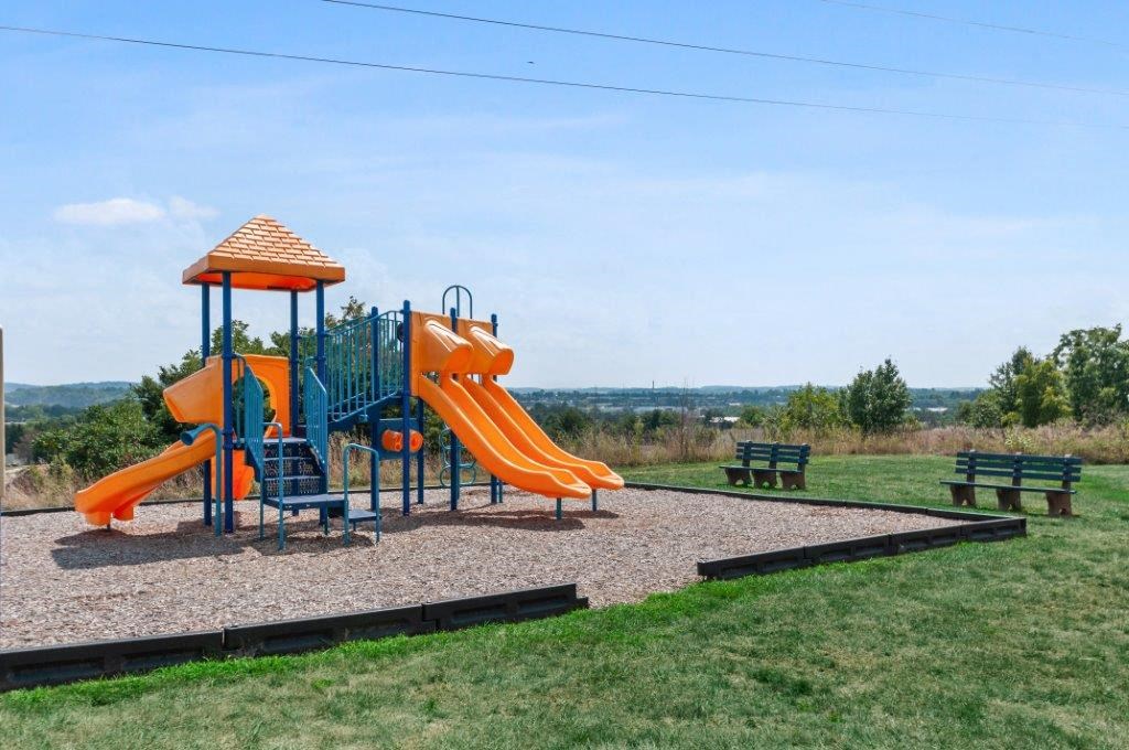 a playground with a slide in a park