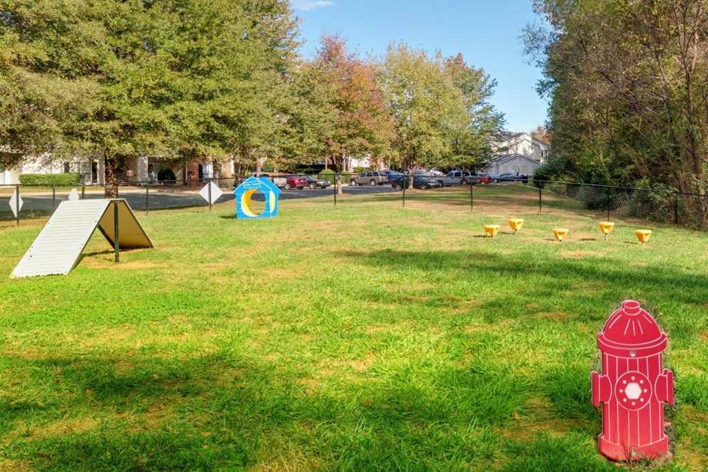 a park with a fire hydrant in the grass