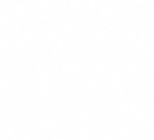 A1