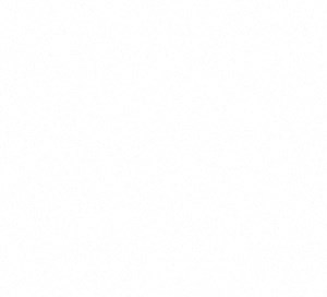 A3