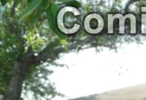 Duncanville Tx Apartments For Rent Rentcaf 233