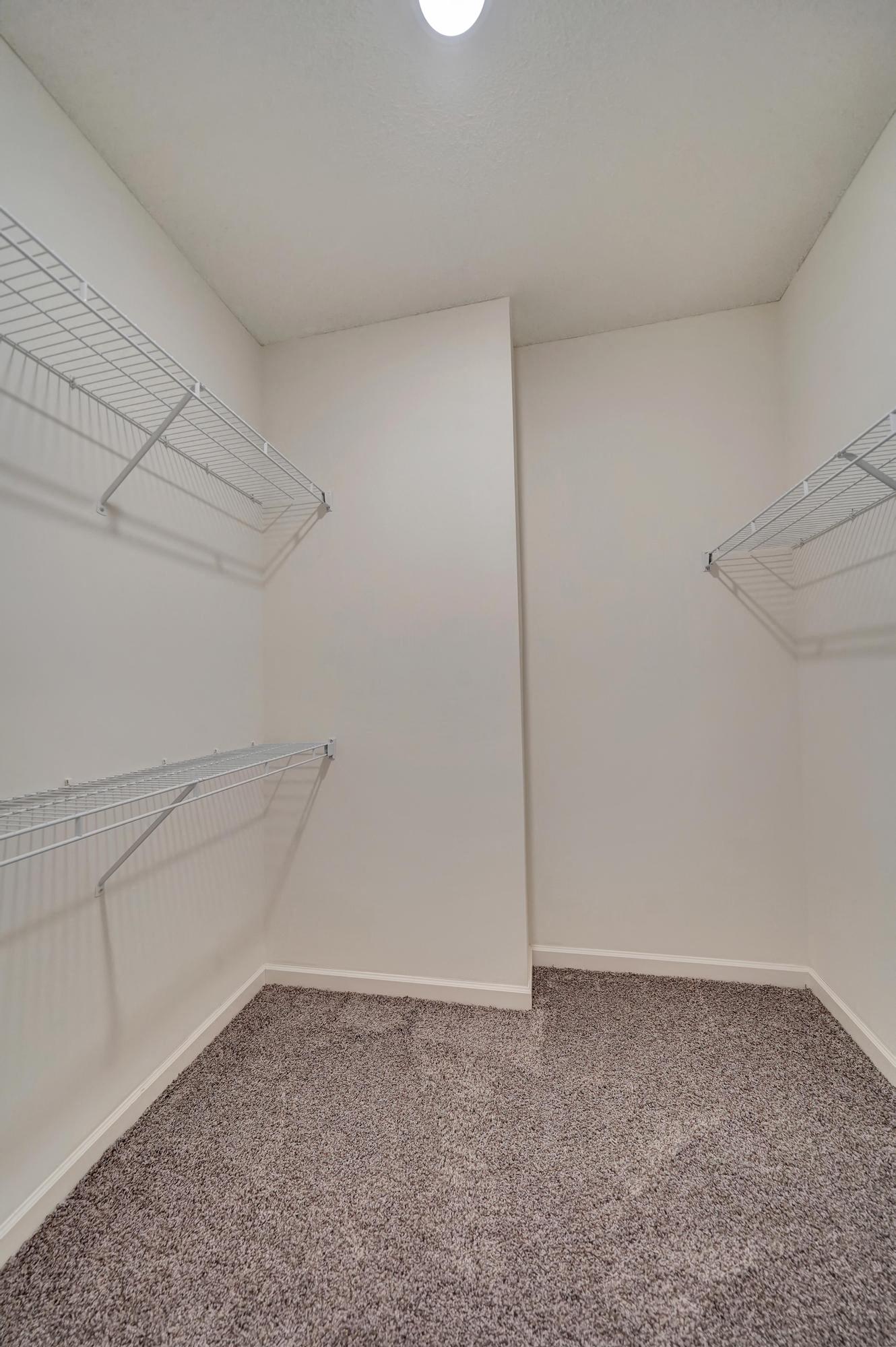 a room with two closets and a carpeted floor