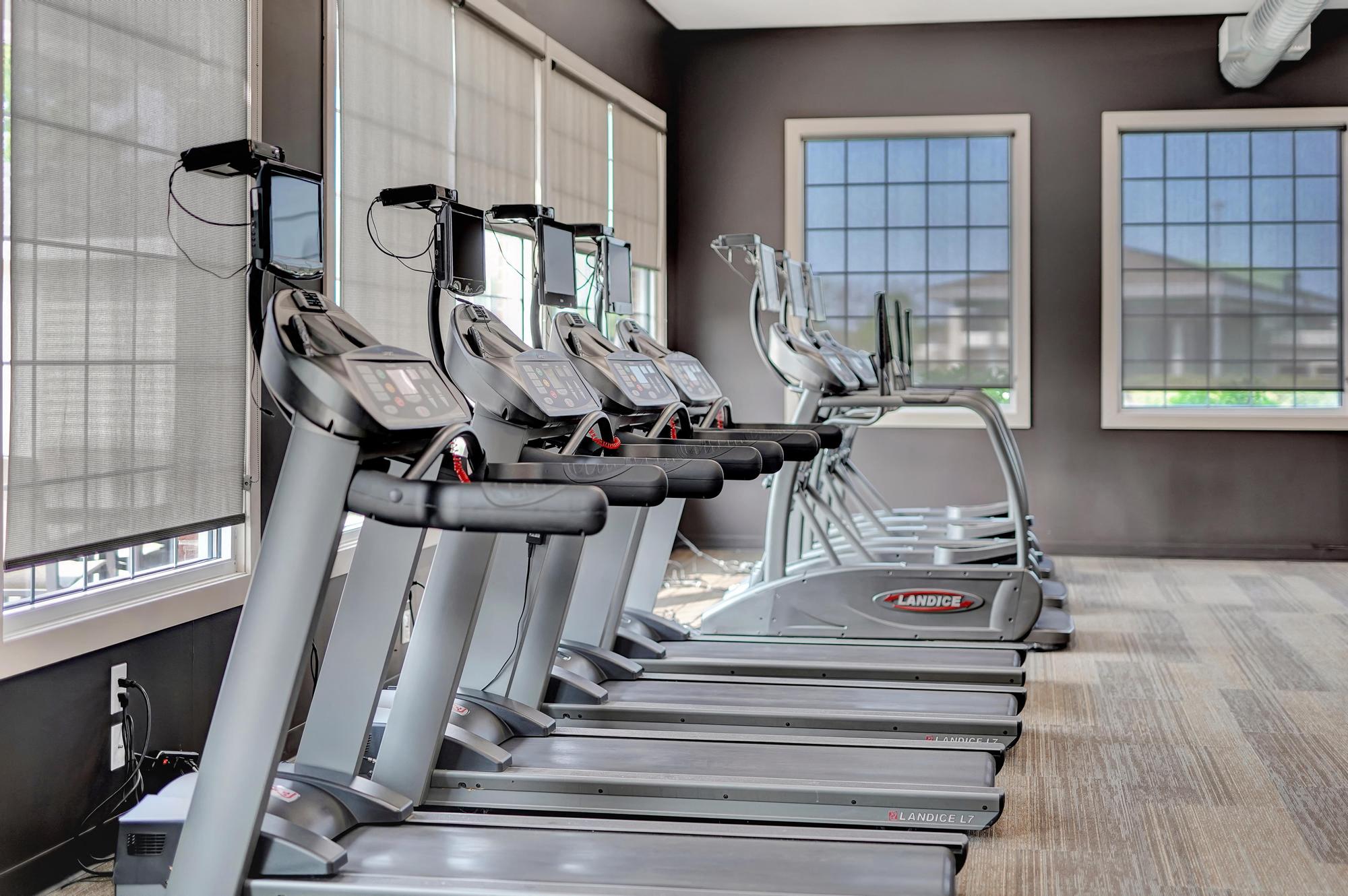 a row of treadmills in a fitness room