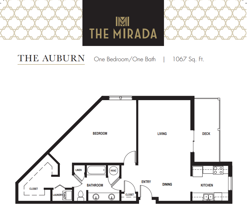 The Auburn