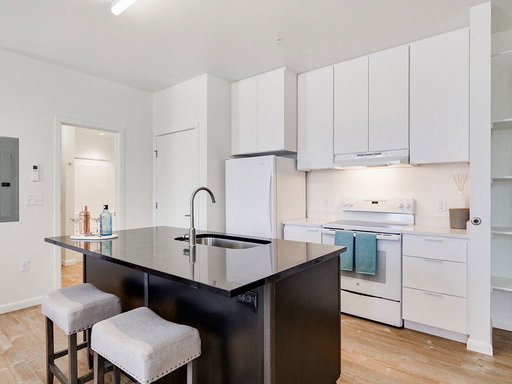 Modern Kitchen With Custom Cabinet Modern Kitchen With Custom Cabinet at Watercooler, Boise, ID