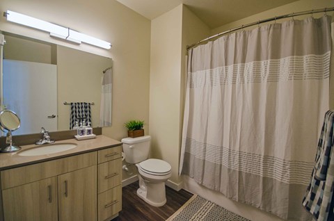 a bathroom with a shower and a sink and a toilet