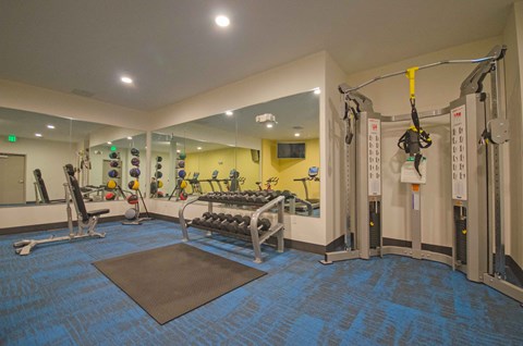 a gym with weights and other equipment on a blue floor