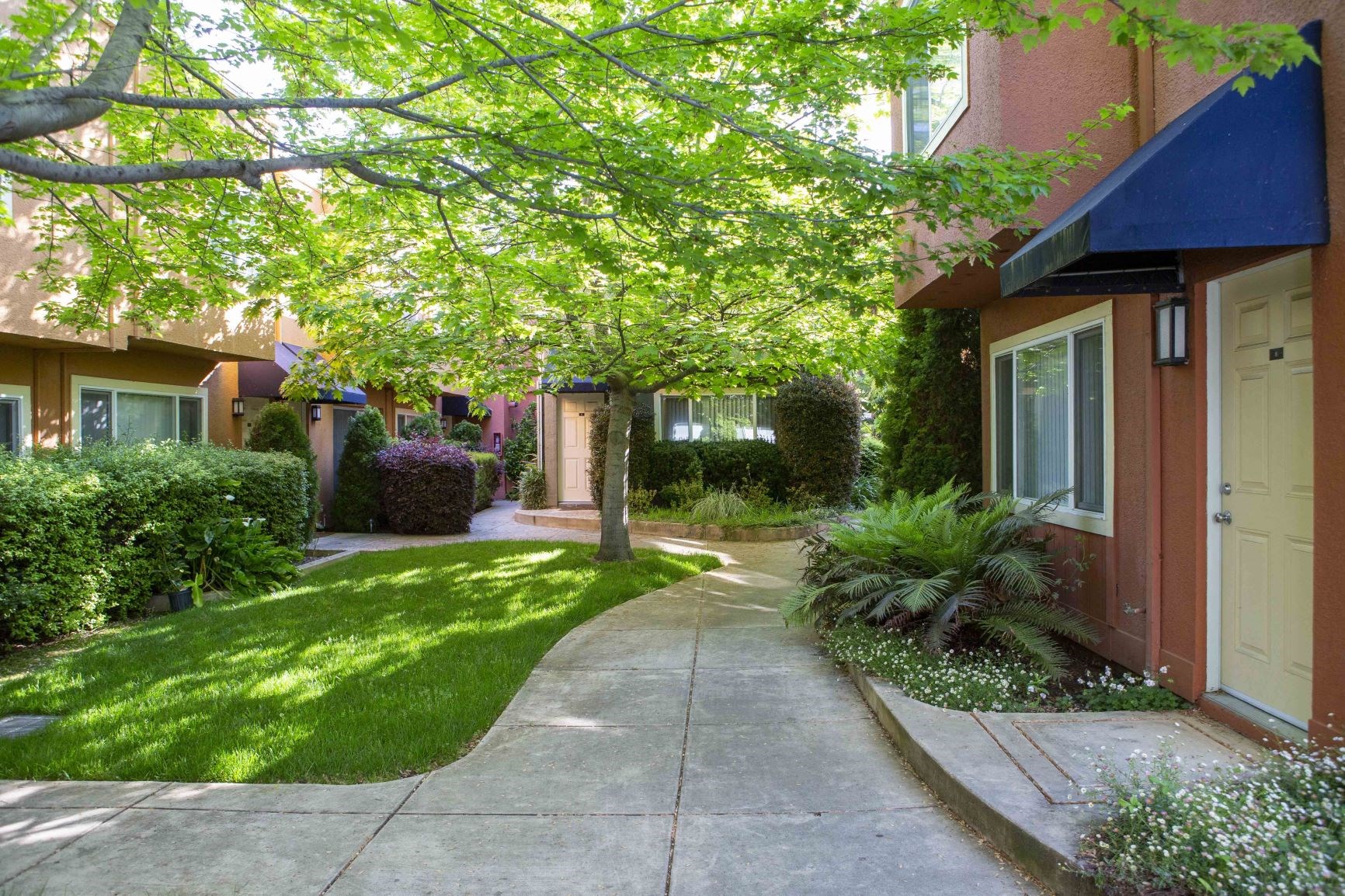 Palm Terrace Concord Apartments, 2925 Monument Blvd, Concord, CA RentCafe