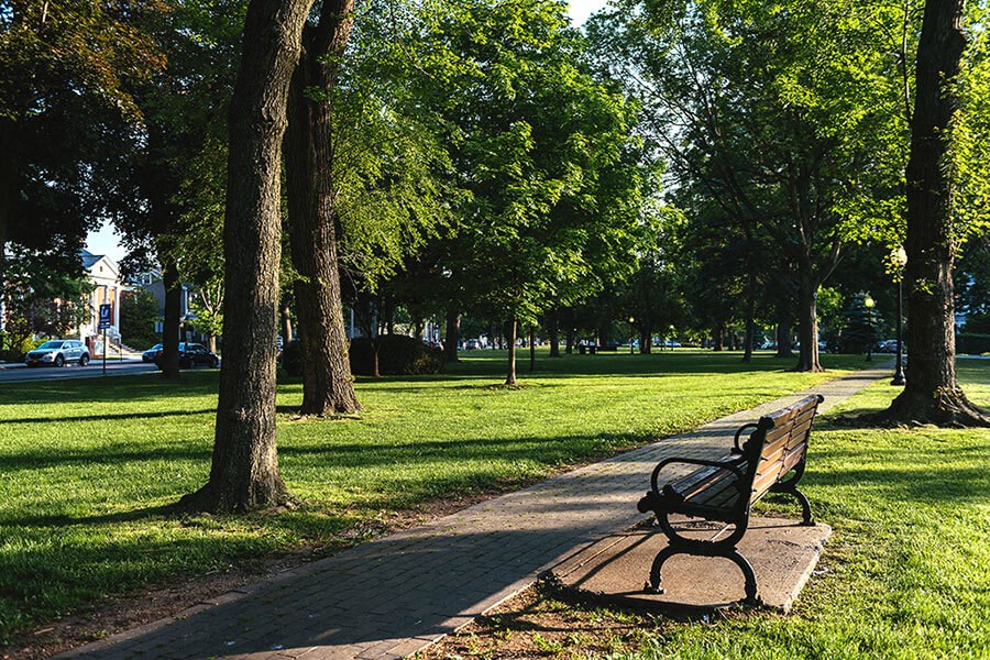 Lush Green Outdoor Spaces at The Green at Bloomfield, New Jersey