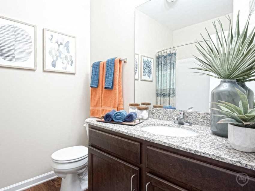 a bathroom with a sink and a toilet and a mirror