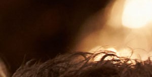 Lakeside At Winter Park Apartments In Winter Park Fl