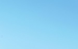 Avalon Park Apartments | 525 Avalon Park | Home