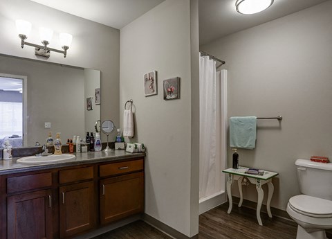 a bathroom with a toilet sink and a mirror