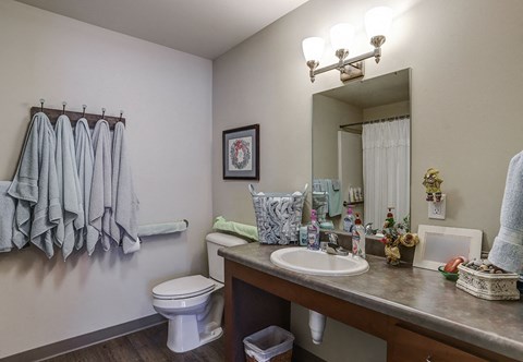 a bathroom with a sink and a toilet and a mirror